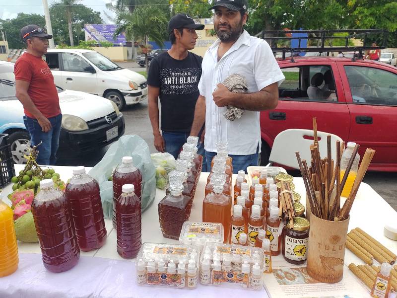 Sequía afecta la producción de miel en Quintana Roo 