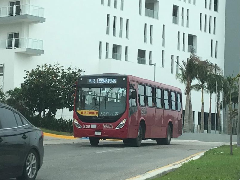 120 unidades de las rutas de zona hotelera y Cancún serán sustituidas
