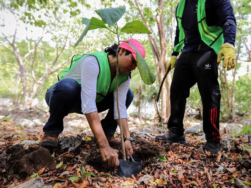 Convocan a los jóvenes a participar en jornada de reforestación en Puerto Morelos