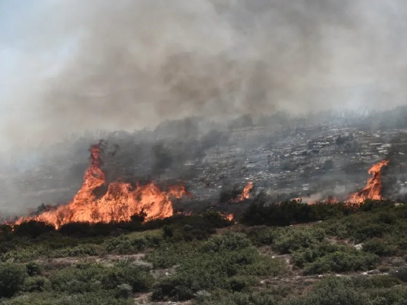 Bomberos continúan lucha contra el fuego en Grecia