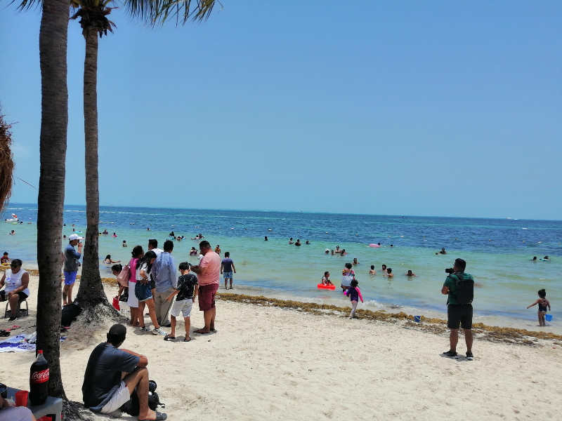 Playas de Quintana Roo muestra bajo nivel de sargazo en verano