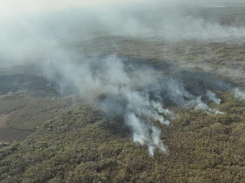 Incendios forestales se redujeron en un 40% en Q. Roo