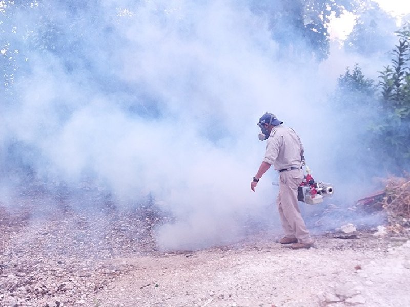 Buscan controlar proliferación de moscos para reducir casos de dengue