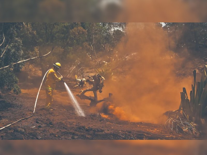 Dos mexicanos mueren en incendios de Maui, Hawái