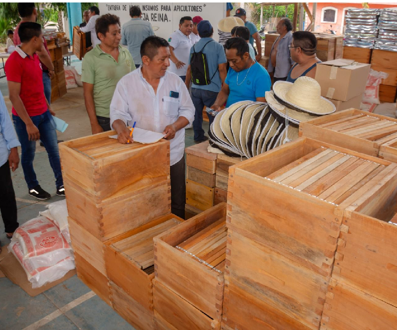 Gobierno de Diego Castañón fortalece a familias apicultoras con insumos y equipos