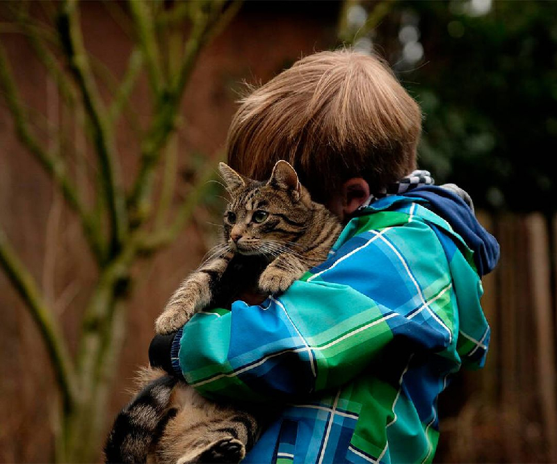 Madre lleva a su hijo al veterinario; el pequeño se cree gato