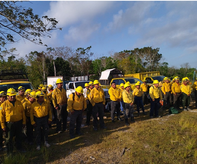 Cerca de 300 brigadistas en alerta para atender incendios forestales en Quintana Roo