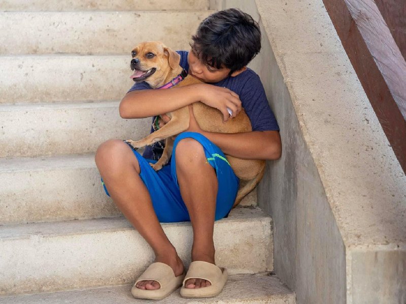 Arranca campaña de esterilización canina y felina en Carrillo Puerto