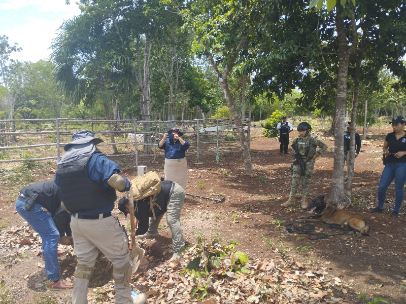 Reportan 60 personas halladas con vida de casi 400 desaparecidas en Quintana Roo
