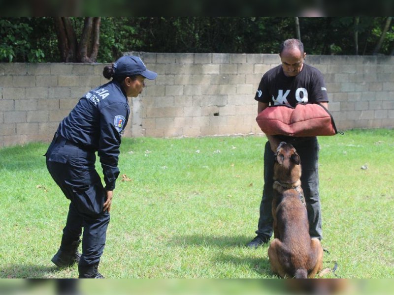 Refuerzan entrenamiento de la unidad canina para fortalecer la seguridad estatal