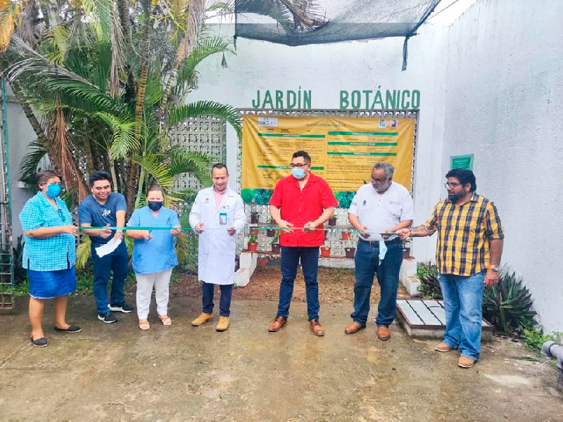 Impulsan medicina herbolaria en Hospital de Carrillo Puerto