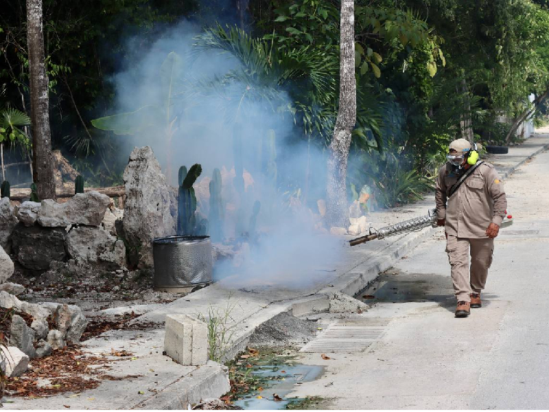 Combaten al mosco transmisor del dengue en Puerto Morelos