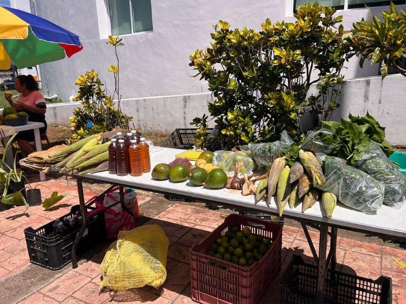 Del campo a Chetumal agricultores ofrecen productos naturales en Planetario Yook'ol Kaab