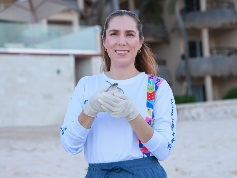 Gobierno de Atenea Gómez redobla esfuerzos para proteger a las tortugas marinas