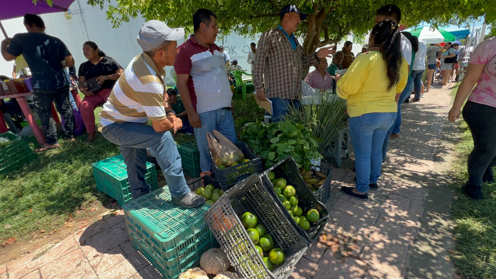 Agricultores se concentran a las afueras del Planetario de Chetumal para ofertar los productos cosechados en el campo [Foto: Cortesía] 