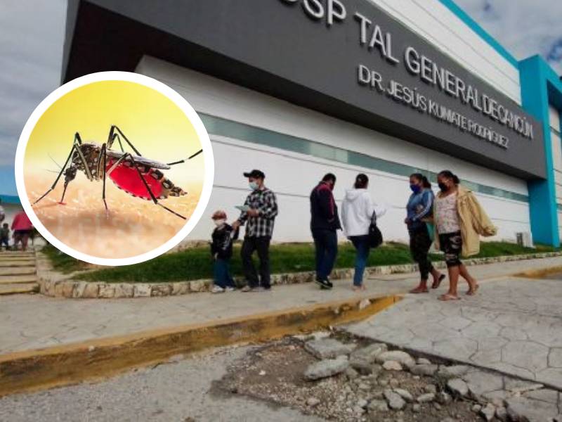 Casos de dengue van a la baja en Quintana Roo, luego de picos altos