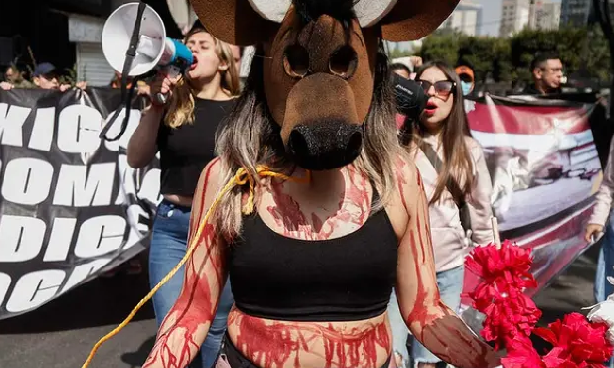 Protestan, las corridas de toros regresan a Ciudad de México tras la revocación de una suspensión.