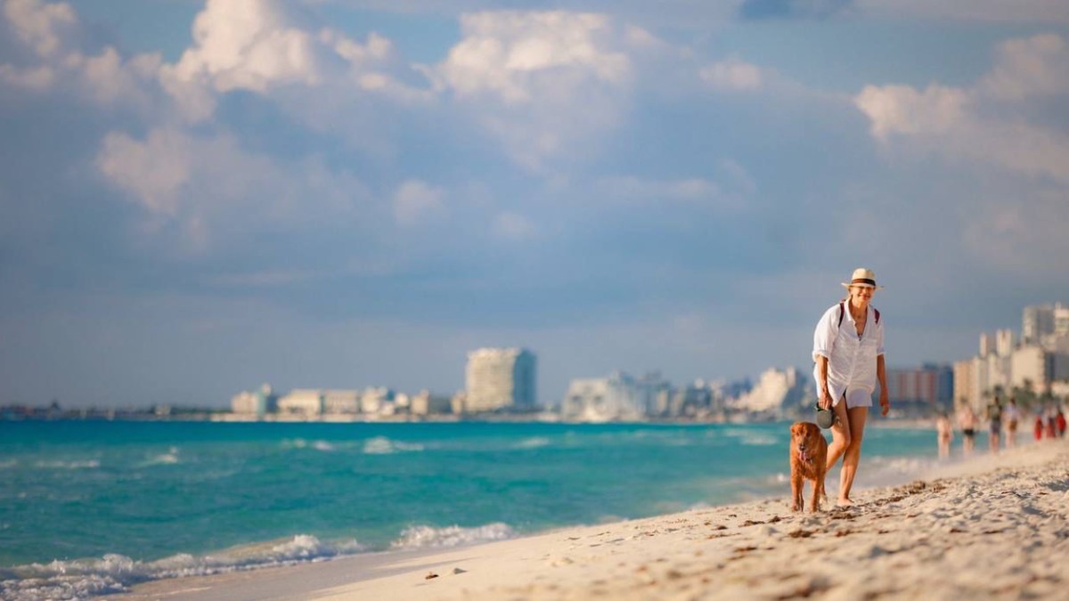El top 3 de la ocupación hotelera nacional lo conforman Cancún con 88.6%, Puerto Vallarta con 83.2% y Los Cabos con 79.8%.