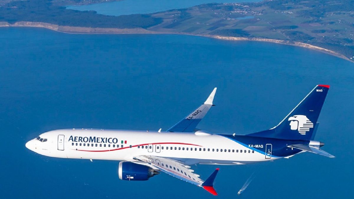 La cancelación del acuerdo entre Aeroméxico y Delta Air Lines dañaría fuentes de empleo, el desarrollo de negocios y cadenas de suministros.