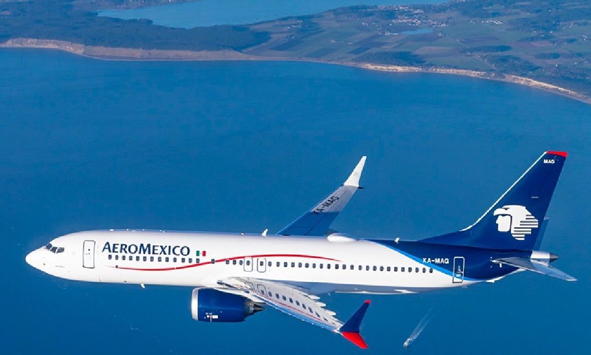 La cancelación del acuerdo entre Aeroméxico y Delta Air Lines dañaría fuentes de empleo, el desarrollo de negocios y cadenas de suministros.