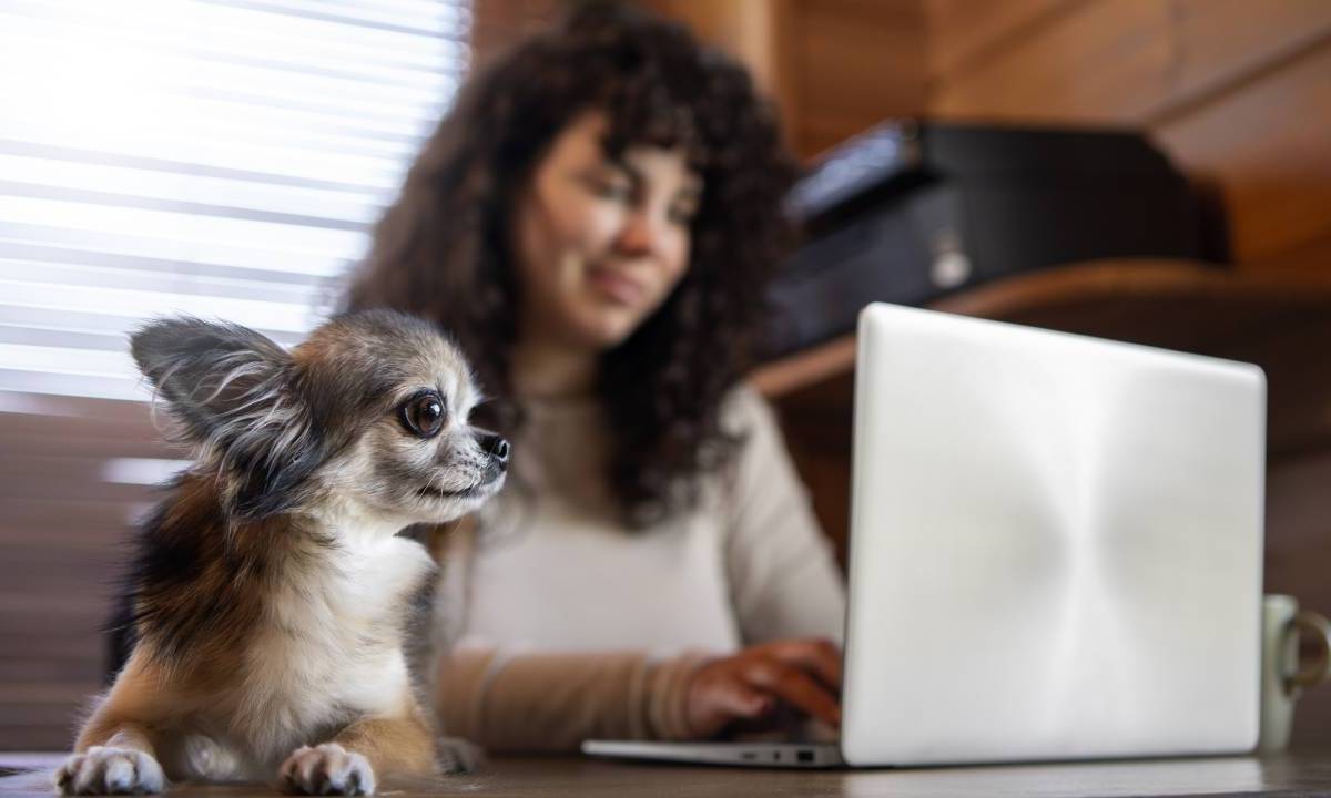 Una mujer trabaja frente a su computadora junto a su mascota.