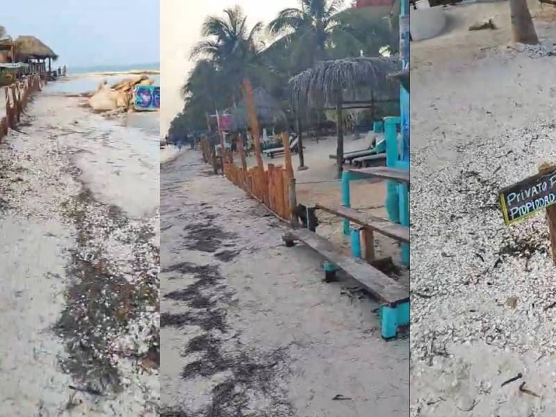 Ignoran hoteleros de Holbox a autoridades en privatización de playas