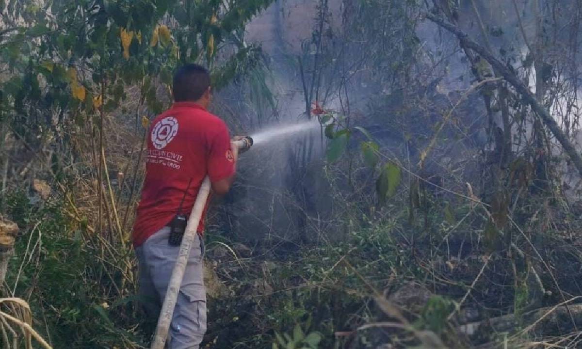 Aumentan incendios forestales en la zona maya.