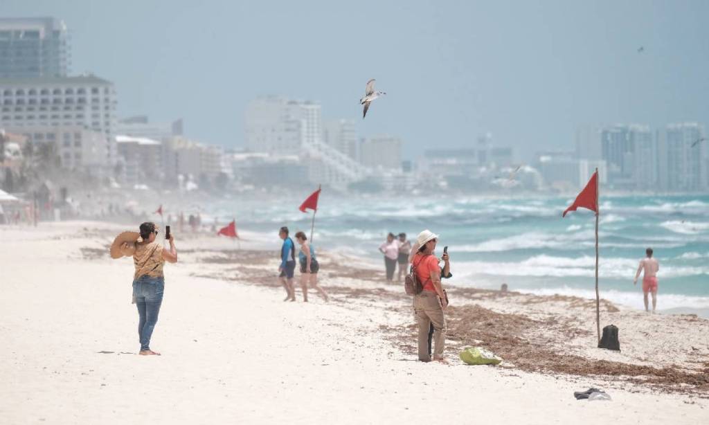 Playa de Cancún donde se nota una breve línea de sargazo en la arena.