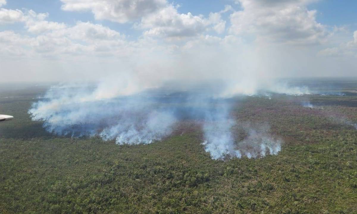 Identificación aérea de afectaciones por incendios forestales en la carretera Cancún-Mérida.