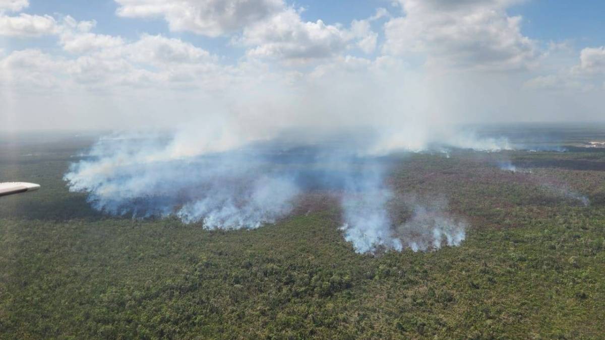 Identificación aérea de afectaciones por incendios forestales en la carretera Cancún-Mérida.