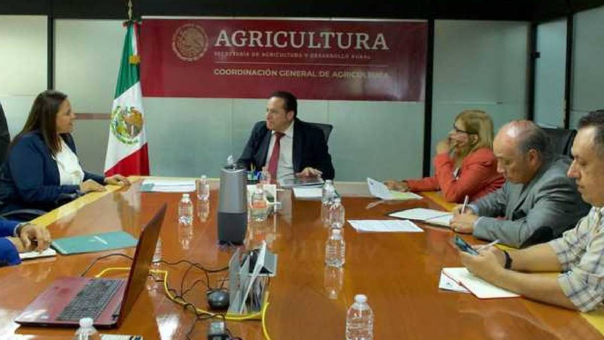 México y Honduras trabajan en materia de nutrición.