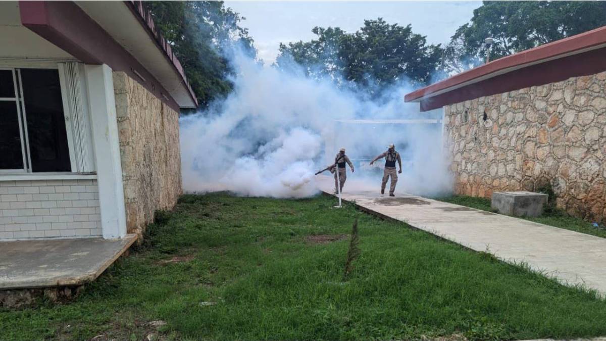 La campaña de nebulización sigue en marcha.