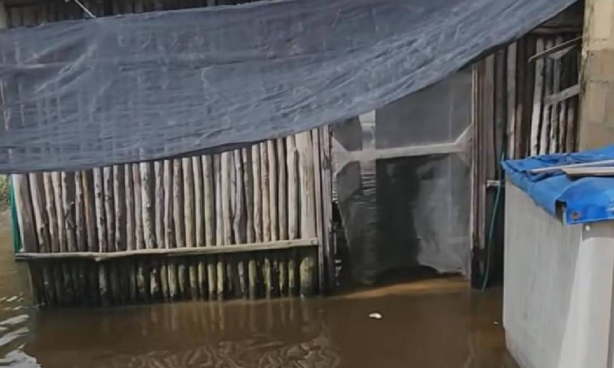Casas de madera inundada en Cozumel.
