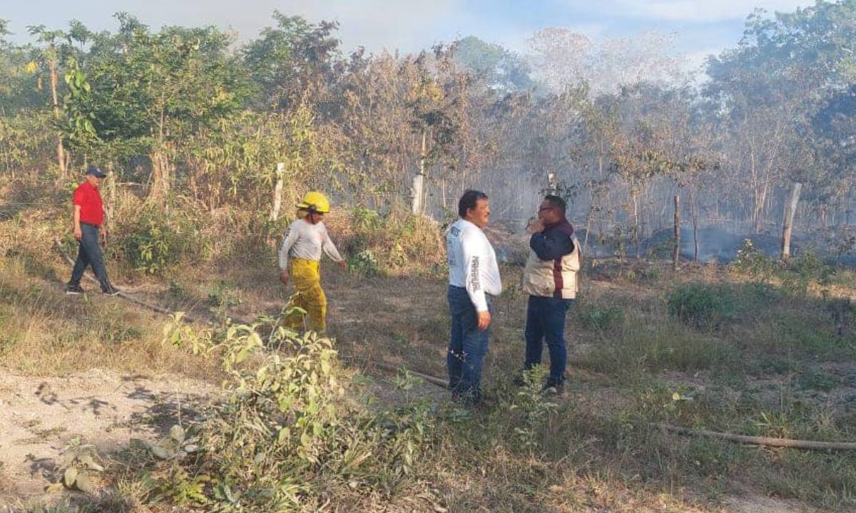 En diversas comunidades de OPB han sido sofocadas cinco quemas que han afectado más de 300 hectáreas de área verde.