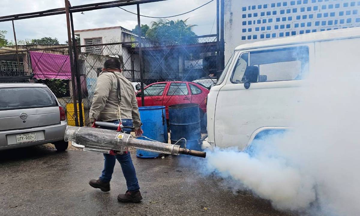 Continúan los operativos contra el dengue en la capital.