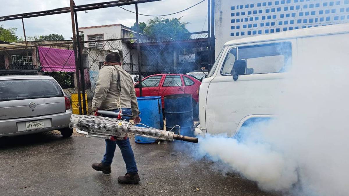 Continúan los operativos contra el dengue en la capital.