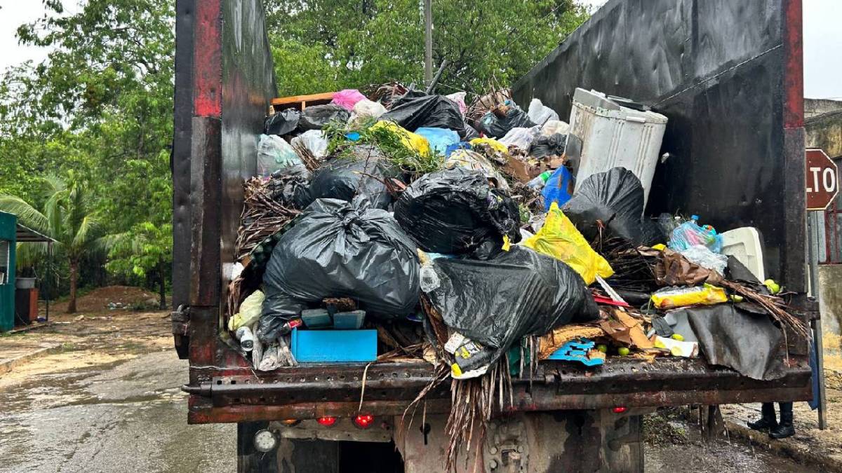 La recoja de basura se reactivo parcialmente.