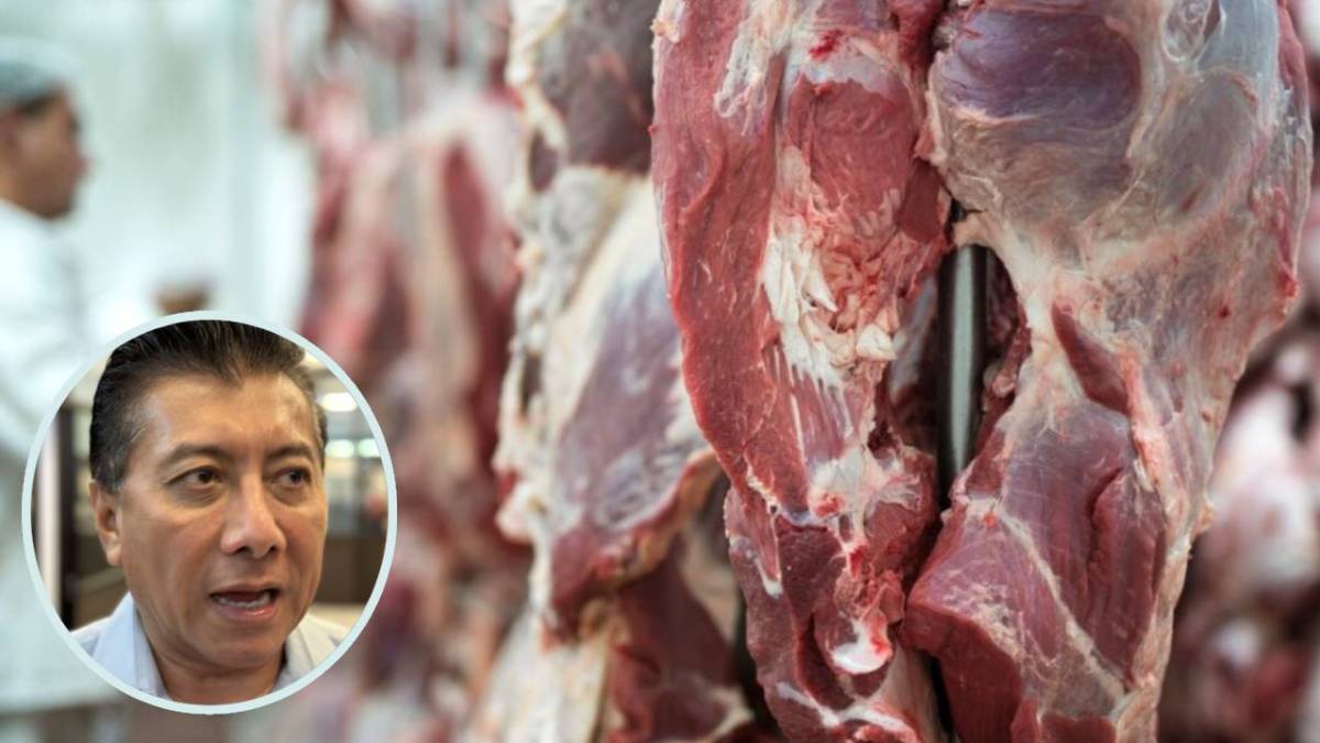 El regidor Jesús Pool Moo exige transparencia y supervisión en la calidad de la carne que se vende en Cancún.
