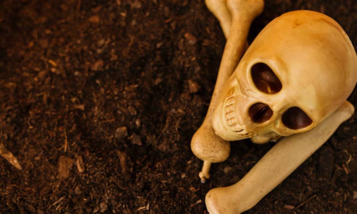 Calavera para ilustrar la exhumación de huesos humanos.