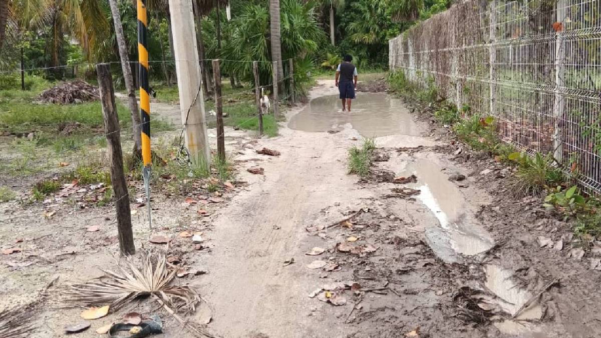 El huracán Beryl dejó algunas afectaciones.