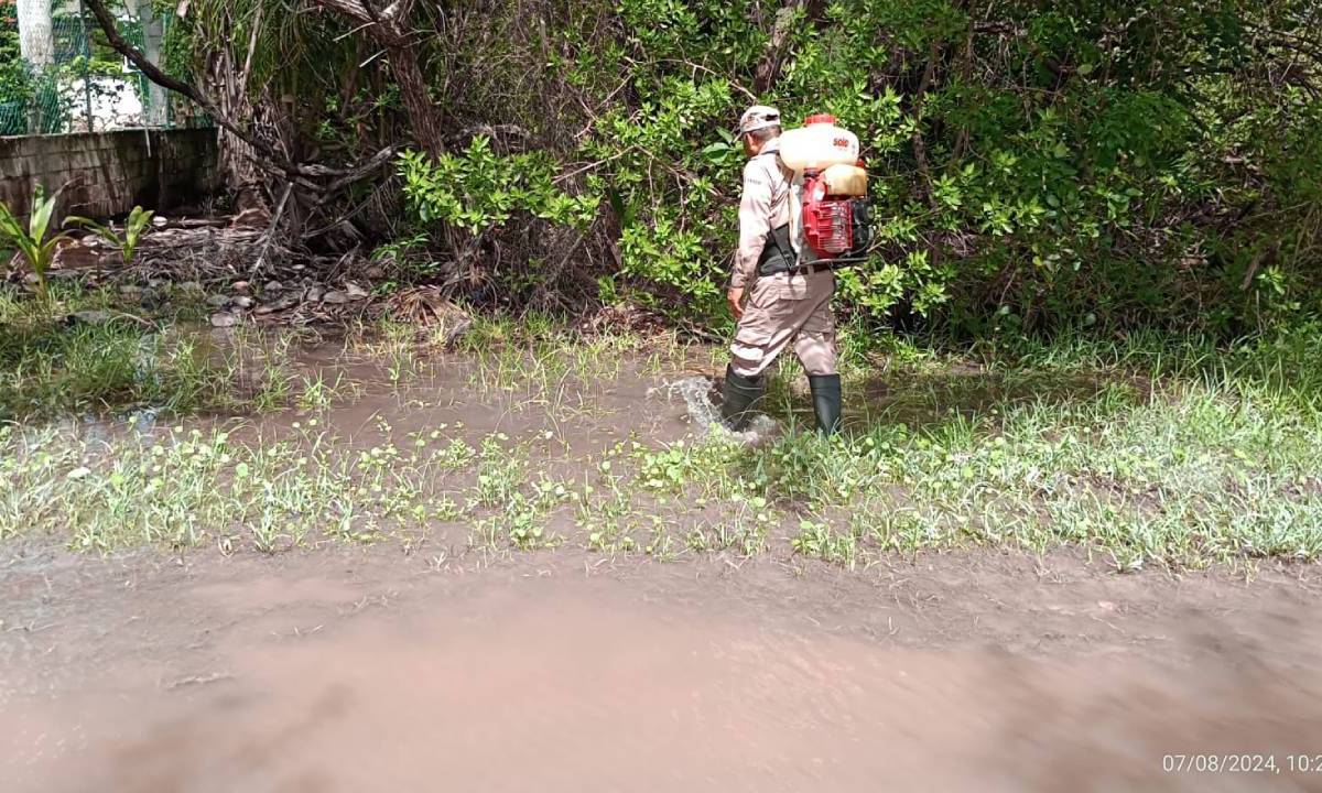 Nebulización de zona inundada de Cozumel.