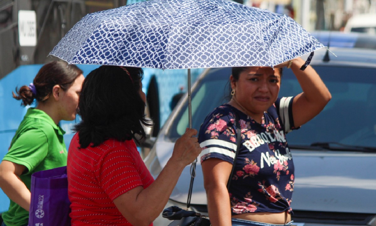 Las altas temperaturas han cobrado la vida de varias personas..