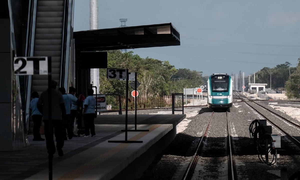 Actividades del Tren Maya se reactivan.