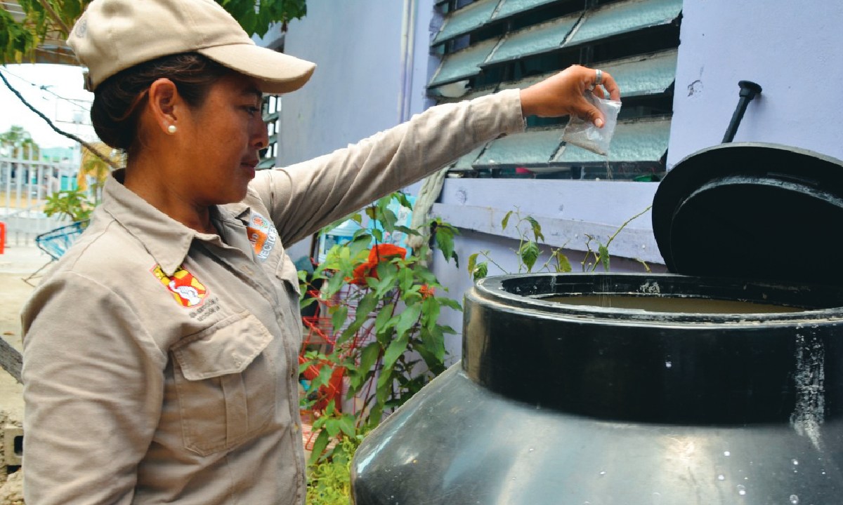 El gobierno combate el dengue.