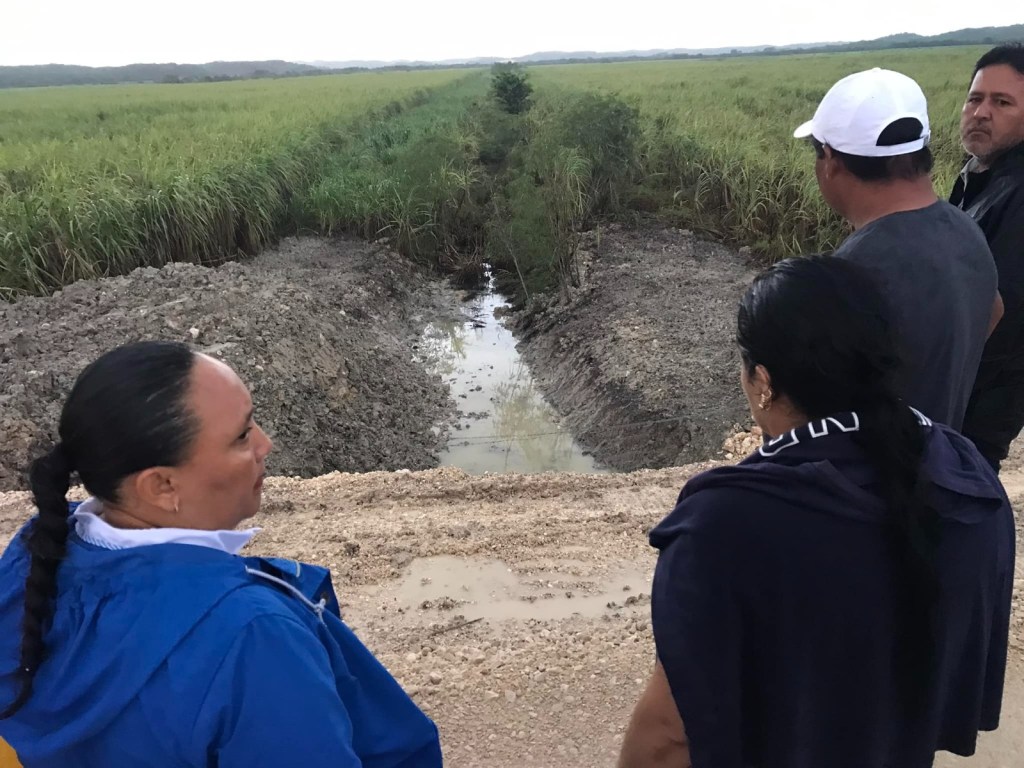 Recorrido de autoridades para constatar daños al sector cañero.