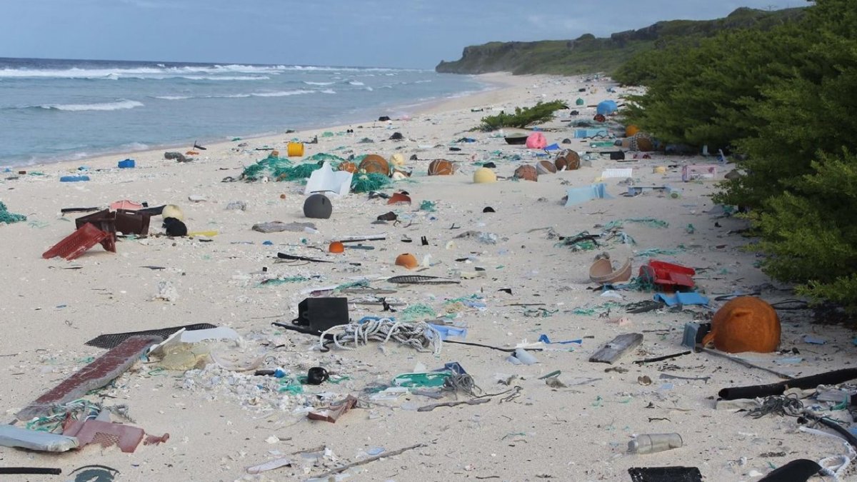 Restos de plásticos de un sólo uso en la costa.