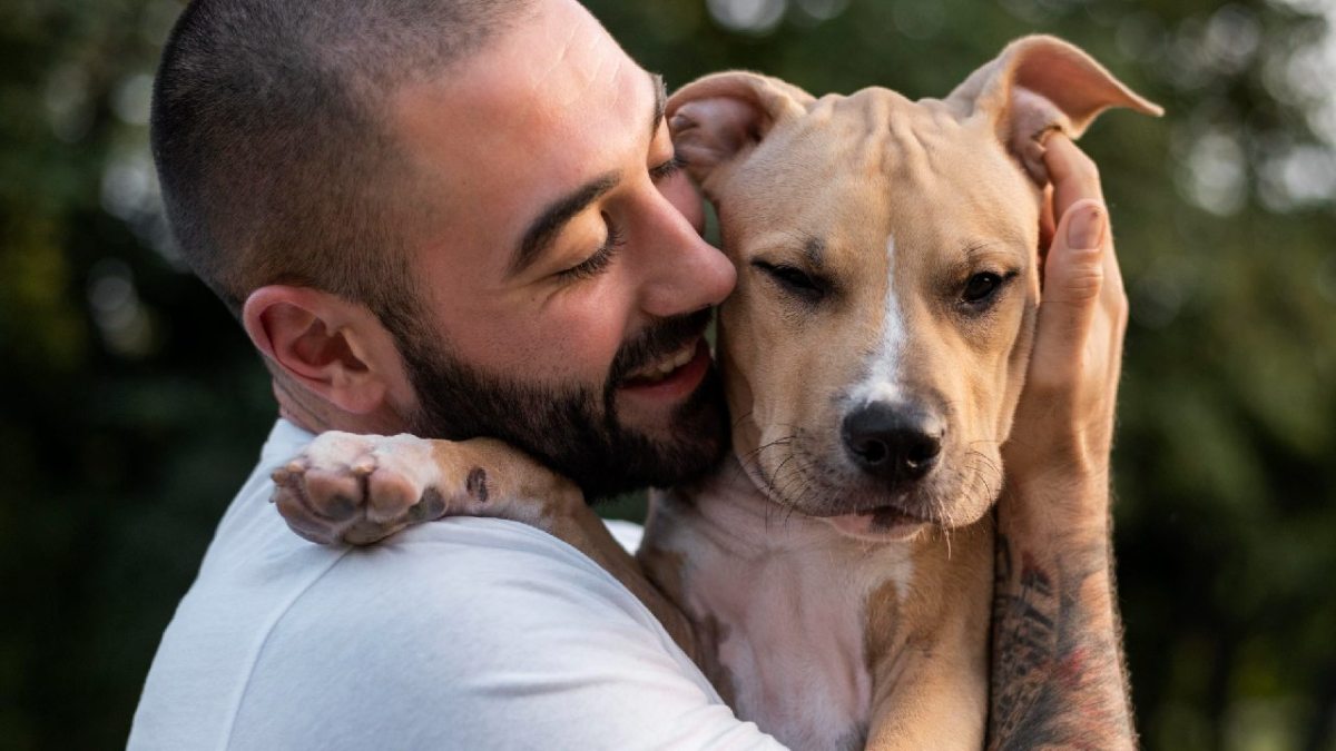 Te haz preguntado si tus animalitos tienen sentimientos.