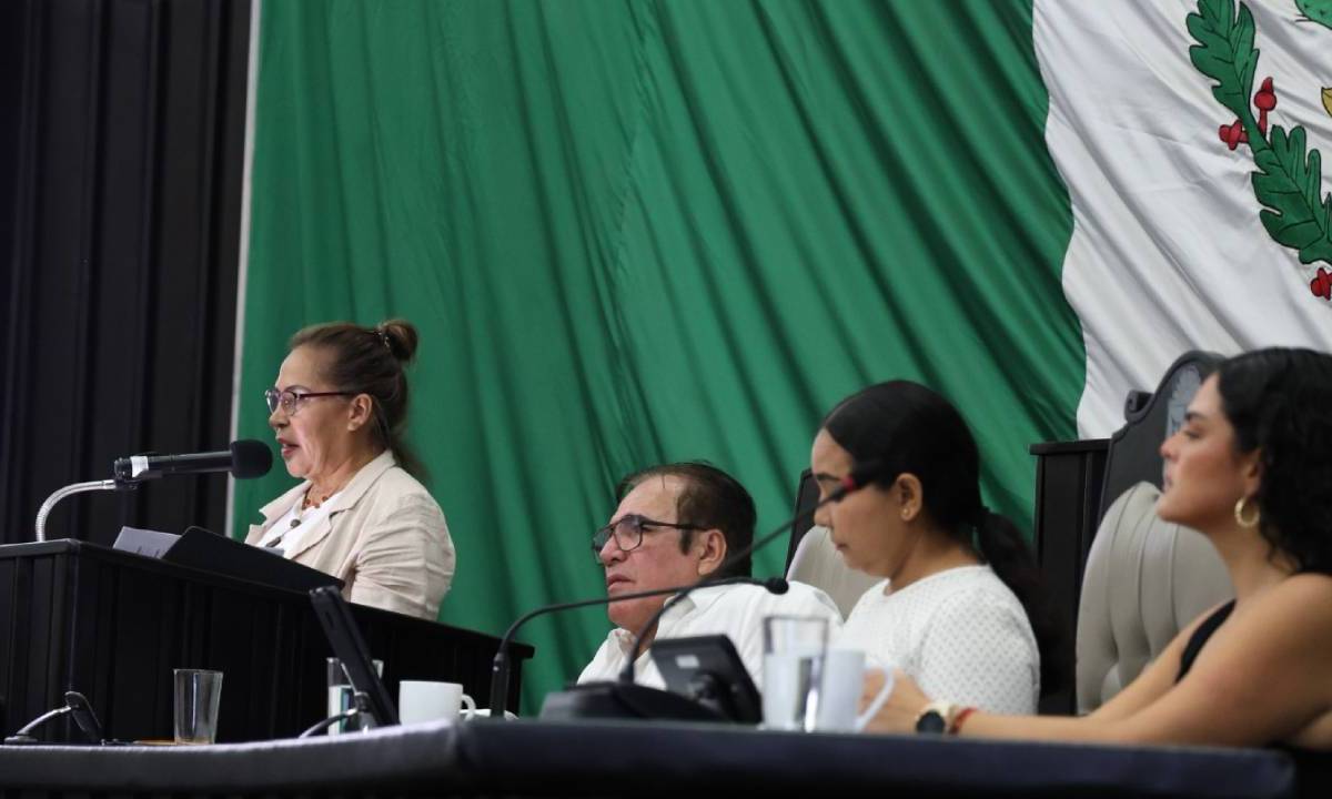 Martha Parroquín Pérez, titular de la Sefiplan, en el Congreso local.