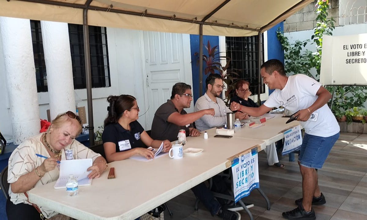 Panistas participan en la elección de su dirigente.