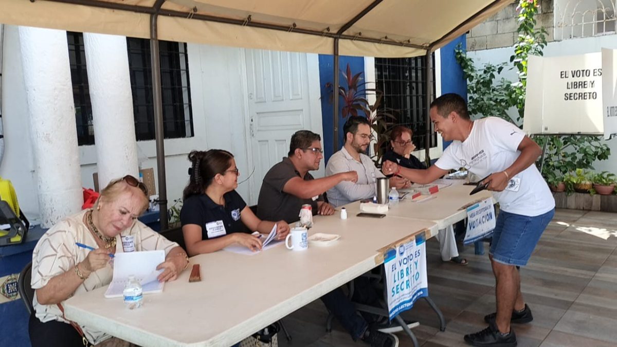 Panistas participan en la elección de su dirigente.